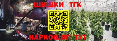 стаф Будённовск