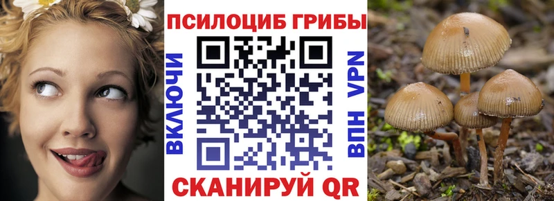Псилоцибиновые грибы Psilocybine cubensis  что такое наркотик  Бор 