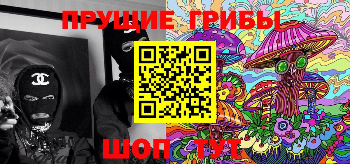 Псилоцибиновые грибы прущие грибы Бор