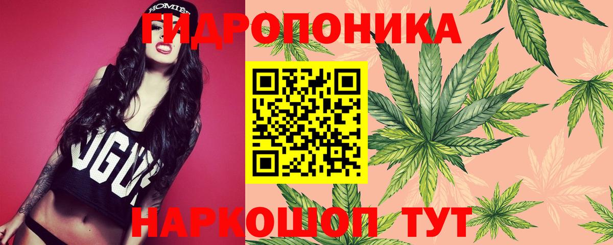 Шишки марихуана SATIVA & INDICA  Бошки Шишки гибрид  Бор  Вход с VPN 