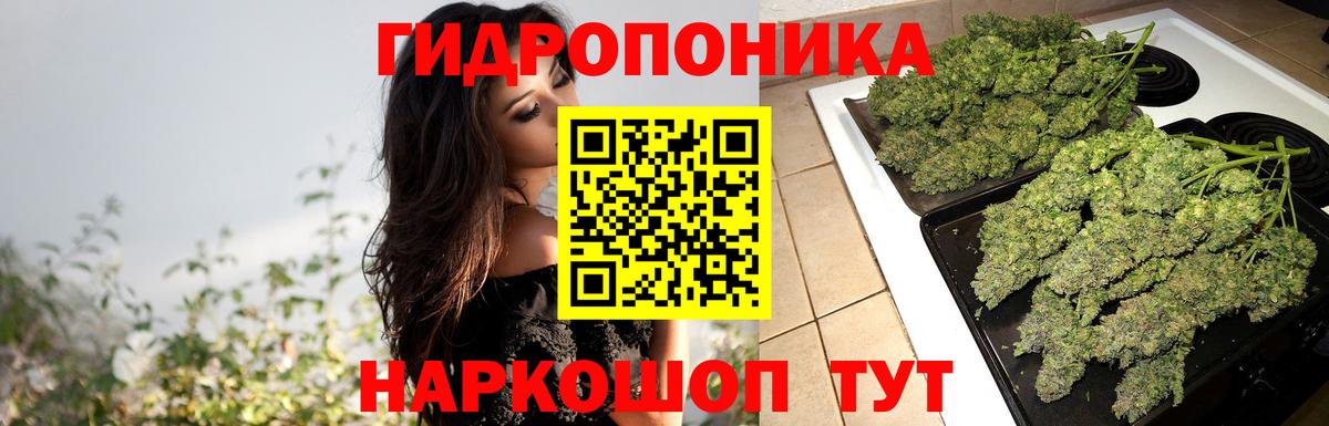 Бошки Шишки White Widow Бор